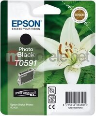 Картридж с оригинальными чернилами Epson T0591 Чёрный цена и информация | Картриджи для струйных принтеров | kaup24.ee