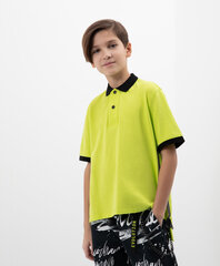 Футболка-поло с контрастной отделкой для мальчиков Gulliver, салатовая цена и информация | Рубашки для мальчиков | kaup24.ee