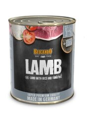 Belcando lambaliha, riisi ja tomatiga, 800 g hind ja info | Konservid koertele | kaup24.ee