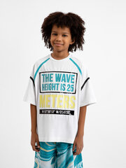 Футболка с коротким рукавом и крупным принтом комбинированная для мальчиков Gulliver, белая цена и информация | Рубашки для мальчиков | kaup24.ee