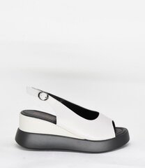 Naiste sandaalid TF'S 26223982.41 hind ja info | Naiste sandaalid | kaup24.ee