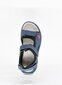 Poiste sandaalid EA 34512030.36 hind ja info | Laste sandaalid | kaup24.ee