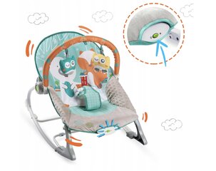 Voodi – vibratsiooniga kiik RicoKids, 0-9 kg hind ja info | Beebi lamamistoolid | kaup24.ee