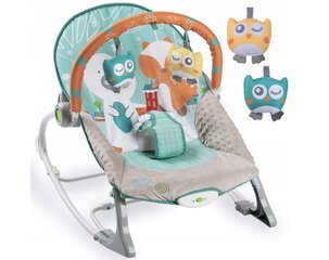 Детская кроватка - качели с вибрацией RicoKids 0-9 kg цена и информация | Шезлонги и качели | kaup24.ee