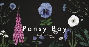 Pansy Boy цена и информация | Фантастика, фэнтези | kaup24.ee