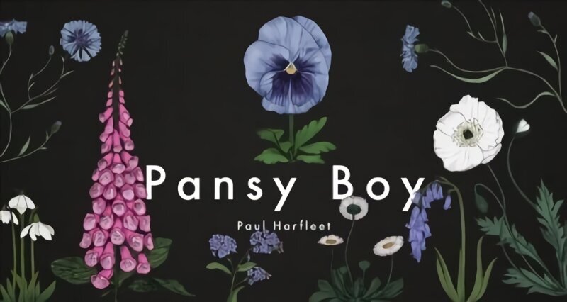 Pansy Boy hind ja info | Fantaasia, müstika | kaup24.ee