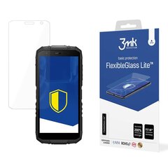 Защитное стекло Samsung Galaxy Tab S6 Lite 2022 - 3mk FlexibleGlass™ 11'' screen protector цена и информация | Защитные пленки для телефонов | kaup24.ee