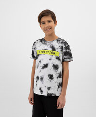 Футболка с имитацией ручного окрашивания для мальчиков Gulliver, белая  цена и информация | Рубашки для мальчиков | kaup24.ee