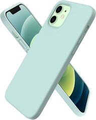 Чехол Liquid Silicone 1.5mm Apple iPhone 15 Pro Max цвет мяты цена и информация | Чехлы для телефонов | kaup24.ee