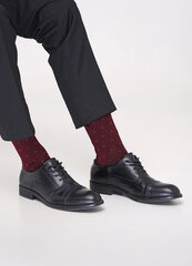 Sokid meestele Giulia, punane hind ja info | Meeste sokid | kaup24.ee