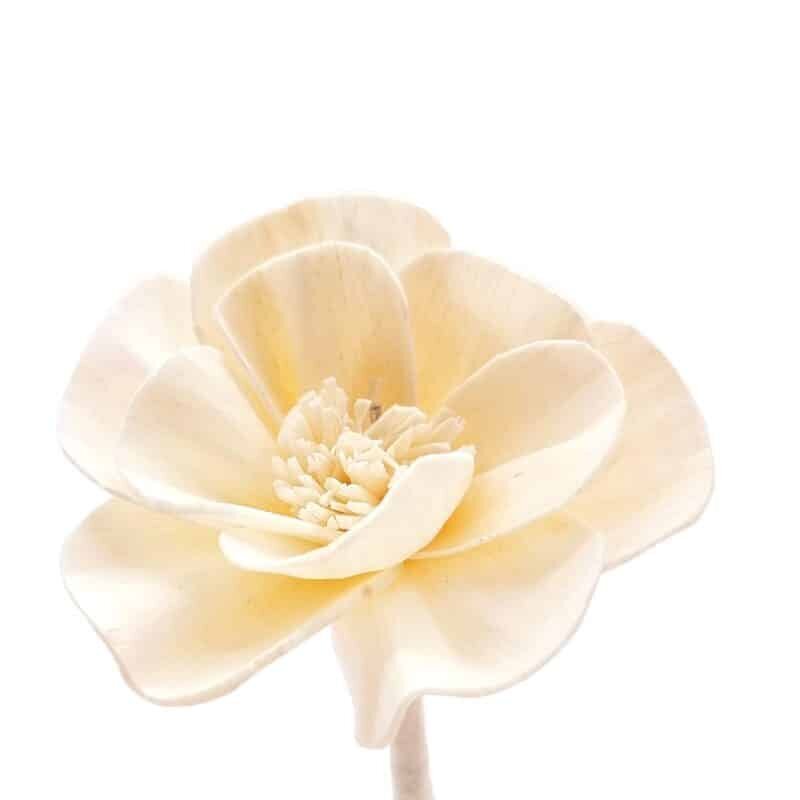 Kodulõhnastaja lillega PRADY BELLE EPOQUE 90 ml цена и информация | Kodulõhnastajad | kaup24.ee