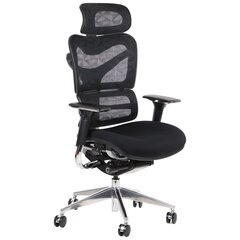 Сетчатое сиденье ErgoNew S8 цена и информация | Офисные кресла | kaup24.ee