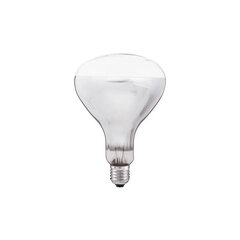 Специальная стандартная лампа 375 Вт E27 R125 Инфракрасная промышленная лампа накаливания THORGEON цена и информация | Лампочки | kaup24.ee