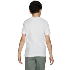 Спортивная футболка с коротким рукавом Nikе цена и информация | Мужские футболки | kaup24.ee