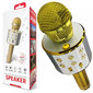 Karaoke mikrofon koos kaja efekti ja Bluetooth'iga цена и информация | Arendavad mänguasjad | kaup24.ee