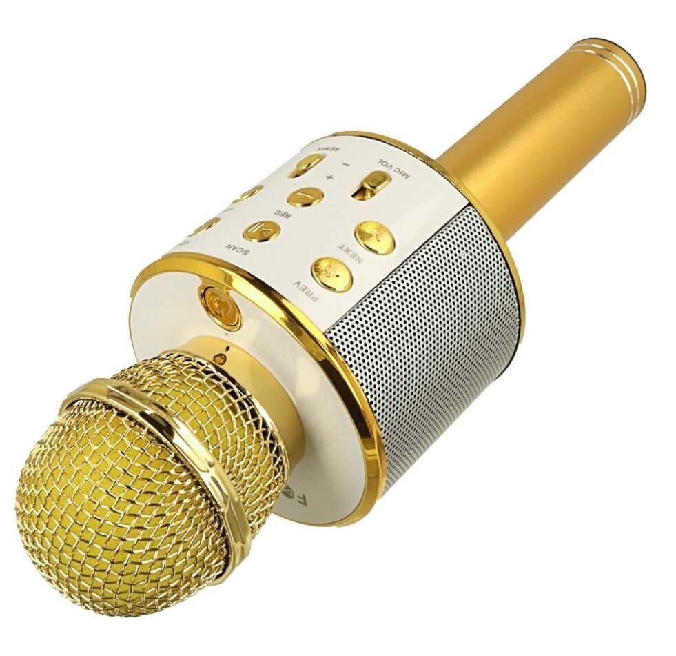 Karaoke mikrofon koos kaja efekti ja Bluetooth'iga цена и информация | Arendavad mänguasjad | kaup24.ee