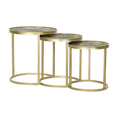 3 laua komplekt DKD Home Decor Kuldne Roheline Troopiline (47 x 47 x 50 cm) hind ja info | Diivanilauad | kaup24.ee