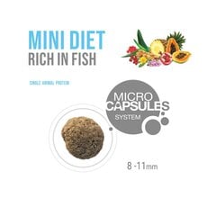 Forza10 Mini DIET для взрослых собак маленьких пород склонных к аллергии, с рыбой, 1,5 кг цена и информация | Сухой корм для собак | kaup24.ee