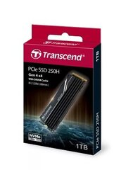 Transcend TS1TMTE250H цена и информация | Внутренние жёсткие диски (HDD, SSD, Hybrid) | kaup24.ee