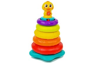 Püramiid koos rõngastega Hola hind ja info | Imikute mänguasjad | kaup24.ee