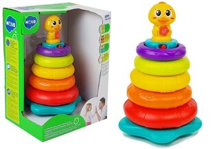 Püramiid koos rõngastega Hola hind ja info | Imikute mänguasjad | kaup24.ee