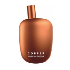 Parfüümvesi Comme des Garcons Copper EDP meestele/naistele, 100 ml hind ja info | Comme Des Garcons Kosmeetika, parfüümid | kaup24.ee