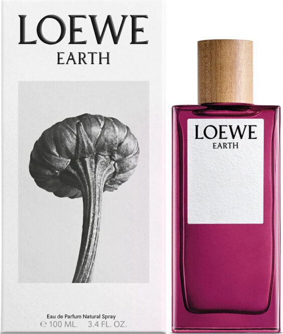 Parfüümvesi Loewe Earth EDP naistele/meestele, 100 ml hind ja info | Naiste parfüümid | kaup24.ee