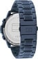 Käekell meestele Tommy Hilfiger Lukas 1710493 цена и информация | Meeste käekellad | kaup24.ee