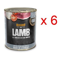 Belcando lambaliha, riisi ja tomatiga, 800 g x 6 tk hind ja info | Konservid koertele | kaup24.ee
