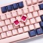 Ducky One 3 Fuji RGB hind ja info | Klaviatuurid | kaup24.ee