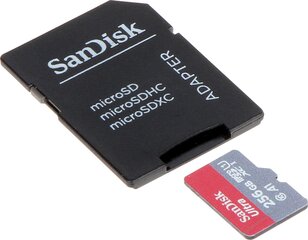 SanDisk SSD-MICRO-10/256-SAND hind ja info | Fotoaparaatide mälukaardid | kaup24.ee