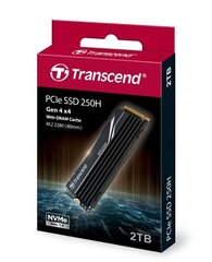 Transcend TS2TMTE250H цена и информация | Внутренние жёсткие диски (HDD, SSD, Hybrid) | kaup24.ee