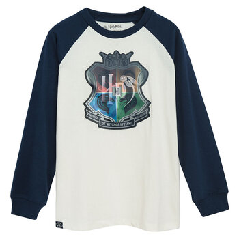 Cool Club kampsun poistele Harry Potter LCB2721453, erinevad värvid hind ja info | Poiste kampsunid, vestid ja jakid | kaup24.ee