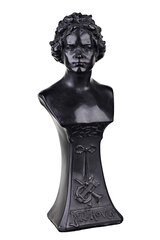 Бюст, статуэтка Людвиг ван Бетховен 17,5 см цена и информация | Детали интерьера | kaup24.ee