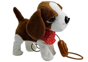 Interaktiivne koer koos rihmaga, pruun ja valge hind ja info | Pehmed mänguasjad | kaup24.ee