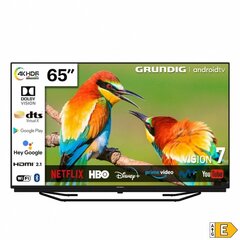 Смарт-ТВ Grundig 65GGU7960B 65" цена и информация | Телевизоры | kaup24.ee