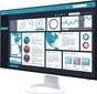 Eizo FlexScan EV2495 цена и информация | Monitorid | kaup24.ee