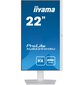 Iiyama ProLite XUB2294HSU-W2 цена и информация | Monitorid | kaup24.ee