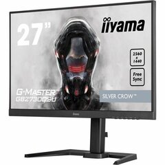 Iiyama G-Master GB2730QSU-B5 hind ja info | Monitorid | kaup24.ee