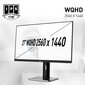 MSI Pro MP273QP hind ja info | Monitorid | kaup24.ee