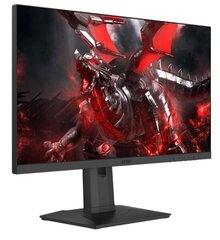 MSI Optix G253PF hind ja info | Monitorid | kaup24.ee