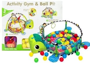 Haridusmatt pallidega, Activity Gym & Ball Pit hind ja info | Imikute mänguasjad | kaup24.ee