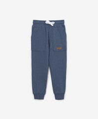 детские брюки с качелями 80 см, голубые TM17499 цена и информация | Шорты для мальчиков | kaup24.ee