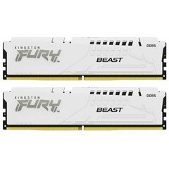 Kingston Fury Beast KF560C36BWEK2-64 цена и информация | Оперативная память (RAM) | kaup24.ee