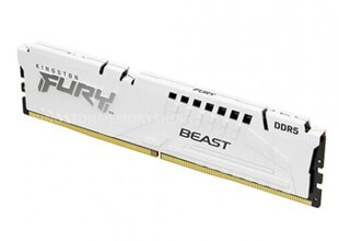 Kingston FURY Beast RD-DDR5-KNG-125 цена и информация | Оперативная память (RAM) | kaup24.ee