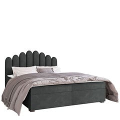 Кровать Beretini 140x200 см, темно-серая цена и информация | Кровати | kaup24.ee
