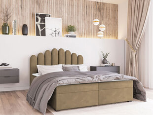 Кровать Beretini 160x200см, светло-коричневая цена и информация | Кровати | kaup24.ee