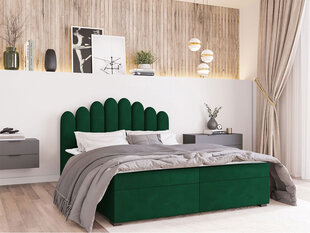 Кровать Beretini 160x200см, зеленая цена и информация | Кровати | kaup24.ee