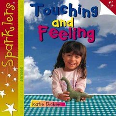 Touching and Feeling: Sparklers - Senses hind ja info | Väikelaste raamatud | kaup24.ee