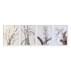 Maal DKD Home Decor 55 x 70 x 2,5 cm hind ja info | Seinapildid | kaup24.ee